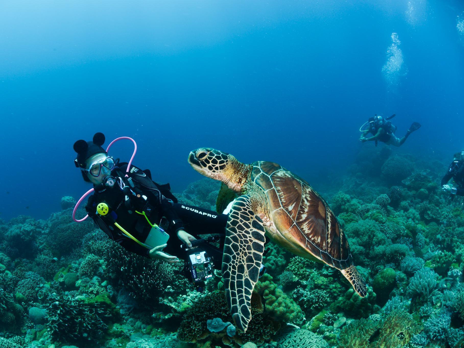 לינה וארוחת בוקר Zamboanguita  Acqua Dive מראה חיצוני תמונה