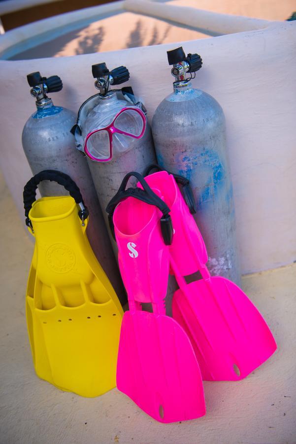 לינה וארוחת בוקר Zamboanguita  Acqua Dive מראה חיצוני תמונה