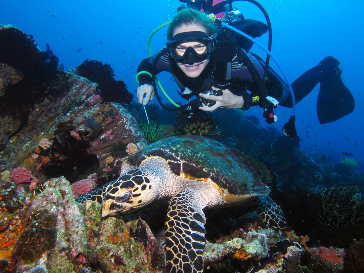 לינה וארוחת בוקר Zamboanguita  Acqua Dive מראה חיצוני תמונה